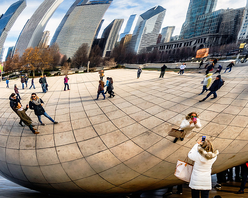 Photographing the Bean